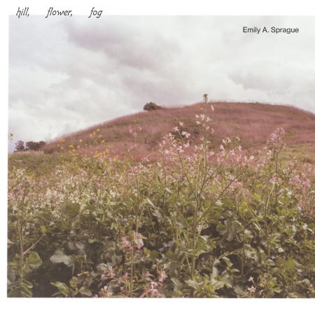 Emily A. Sprague | Hill, Flower, Fog