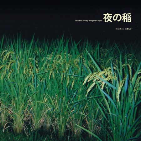 Reido Kudo | Rice Field Silently Riping in The Night LP | TAL
