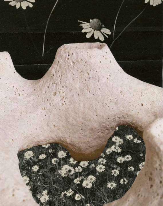 Objects & Sounds | Clay Bodies | Collage